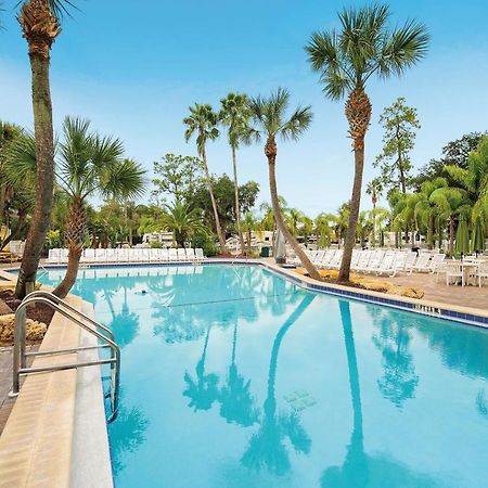 Tropical Palms Resort Celebration Εξωτερικό φωτογραφία